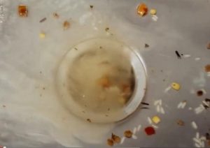 thông tắc cống tại Phường Mỹ Đình 2