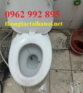 thông tắc cống tại phường mễ trì
