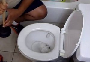 thông tắc cống tại Phường Xuân Phương